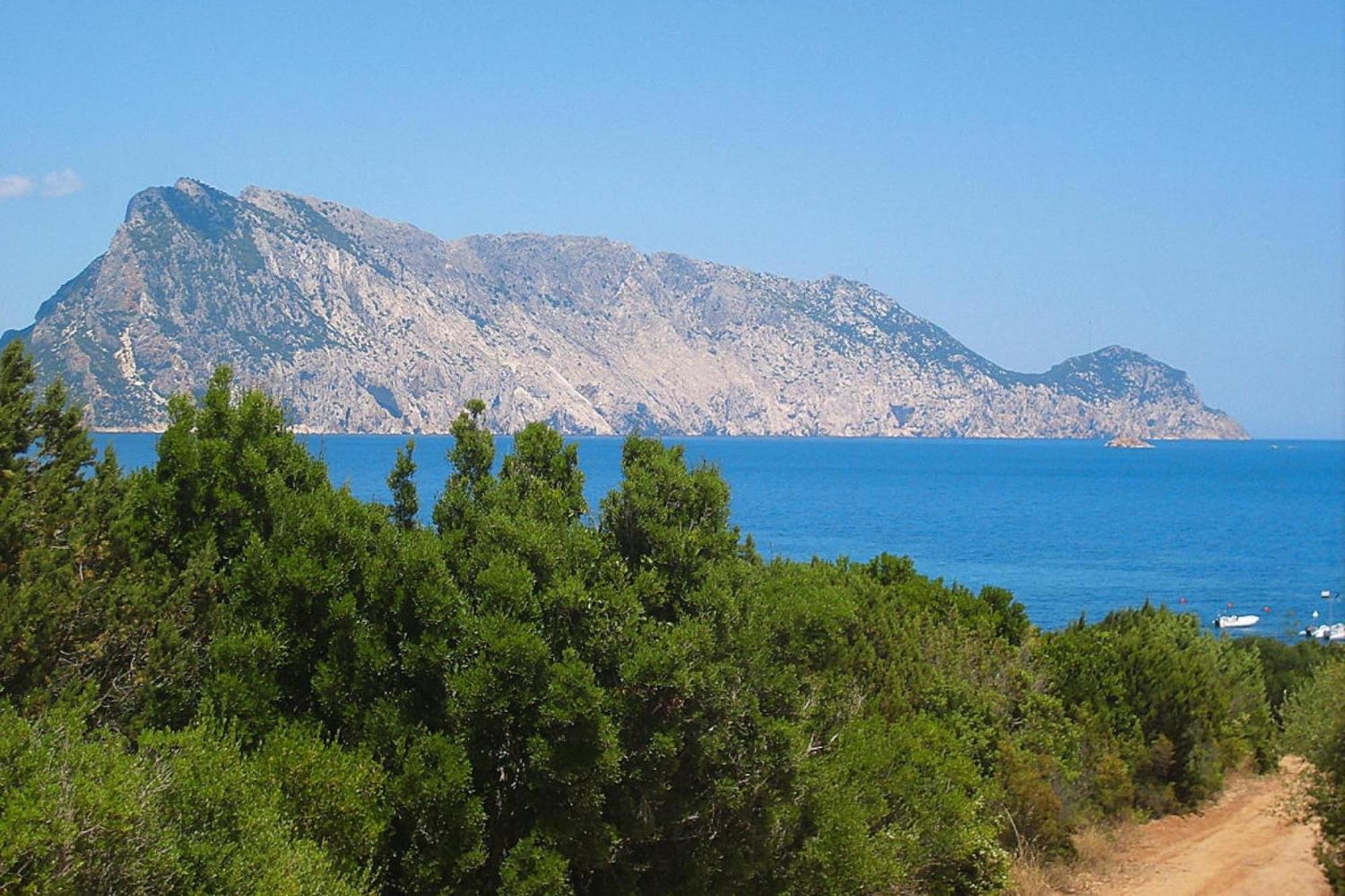 Residence La Tartaruga Monte Petruso San Teodoro San Teodoro  Kültér fotó